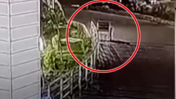 நெட்டிசன்களின் கருத்து 