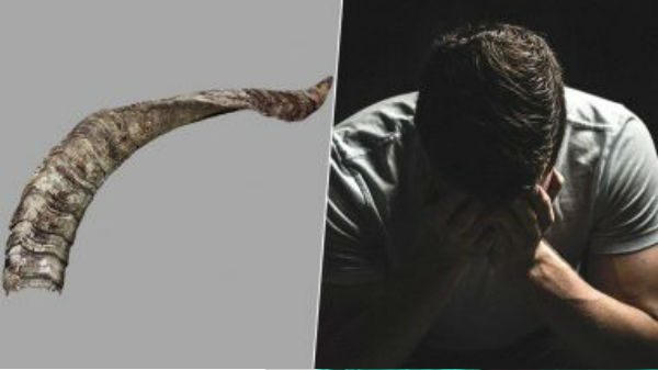 சிறிய காயத்தினால் உருவான கொம்பு