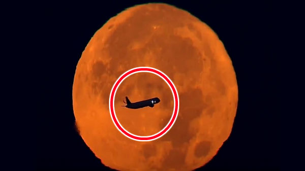 வைரல் வீடியோ 