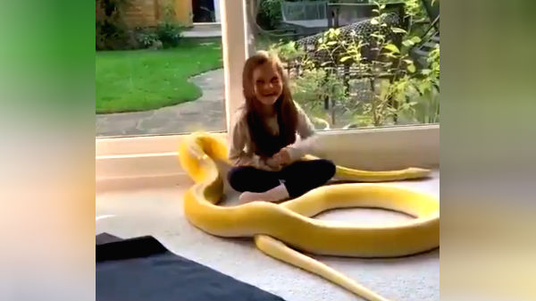 பாராட்டு மற்றும் டிப்ஸ் கமெண்ட்