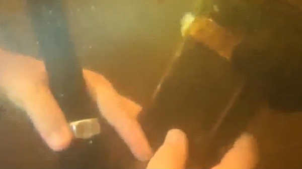 பாசிகளால் மூடப்பட்டிருந்தது