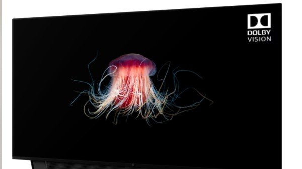 4கே ஆதரவு 