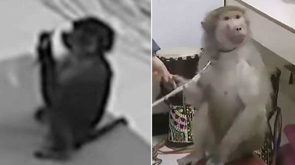 கட்டணம் எப்படி செலுத்தப்பட்டது?