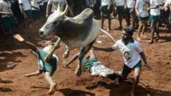 போட்டி முன்னேற்பாடுகள் தீவிரம்