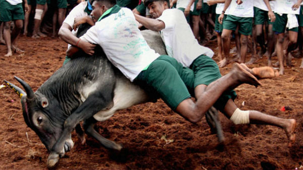 30-க்கு மேற்பட்ட மருத்துவ குழுவினர்