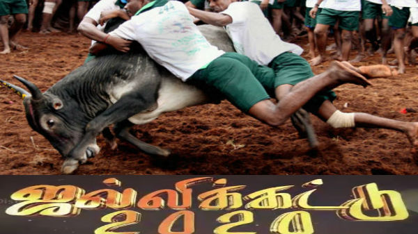 ஜல்லிக்கட்டு நேரலை