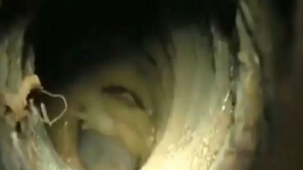 35கிலோ எடை கொண்ட குழந்தையை தூக்கமுடியும்
