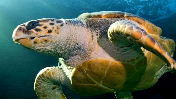 முற்றிலுமாக குணமடைய இத்தனை வருடமா? அடேங்கப்பா.!