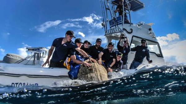 2 கிலோ எடை - 180 கிலோ எடை 