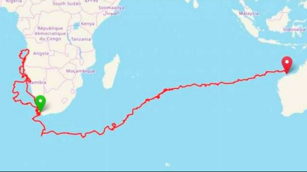 கடல் ஆமையின் இயல்பான சிறப்பு திறன்