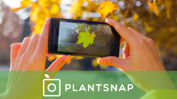 6. PlantSnap