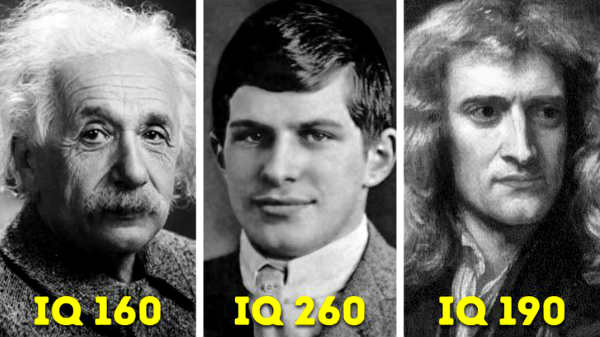 IQ அளவு என்பது என்ன?