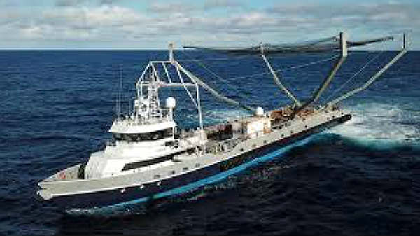 SpaceX கப்பல்கள்