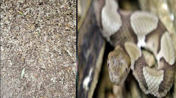 சிறிது காலமாகப்