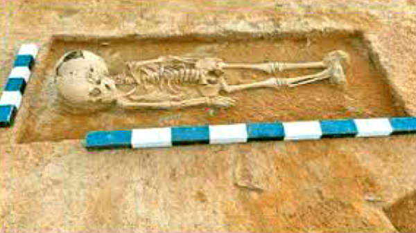 இரண்டு எலும்புக்கூடுகள் 