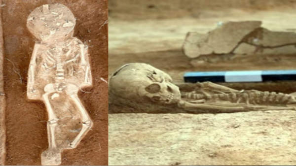 எலும்புக் கூடு கீழடி