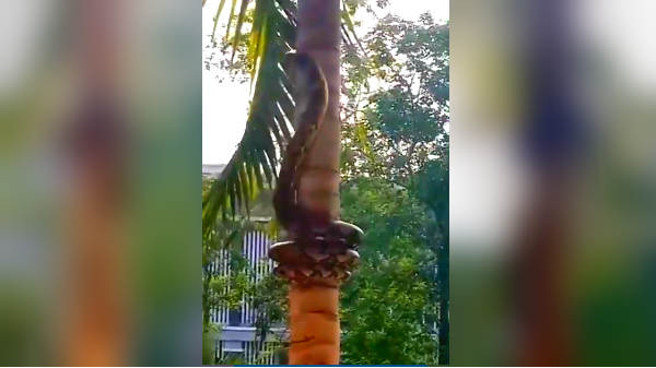 அதிகமுறை ரீட்வீட் 