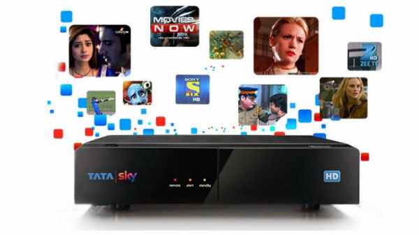 டாடா ஸ்கை ப்ளஸ் வெப் ஆதரவு