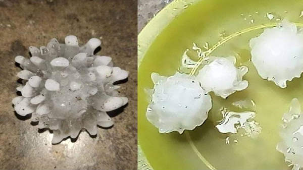 வைரல் ஆகிவரும் ஆலங்கட்டி 