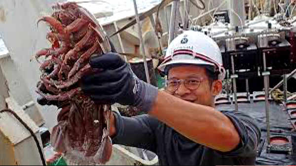 இதன் நீளம் எவ்வளவு தெரியுமா?