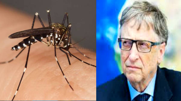 மனிதர்களை கொத்துக்கொத்தாக காவு வாங்கிய நோய் 