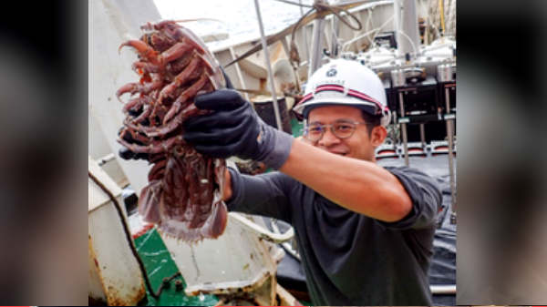 சூப்பர்ஜெயிண்ட்ஸ் பாத்தினோமஸ் 