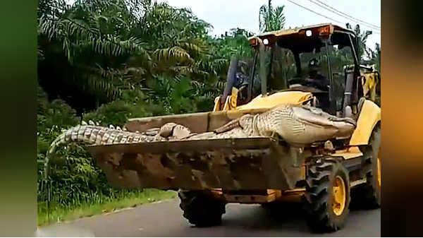 மூடநம்பிக்கையால் ஊர்மக்கள் செய்த காரியம் 