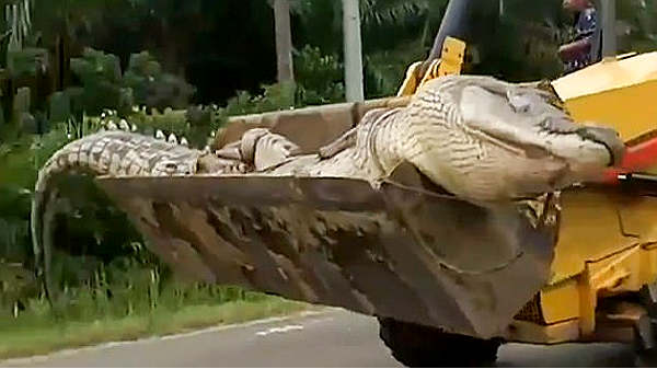 அதிகாரிகளின் புலம்பல்