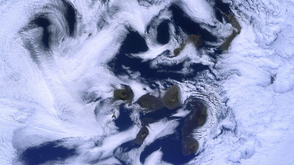 அதிகமாக பகிரப்படுவது 