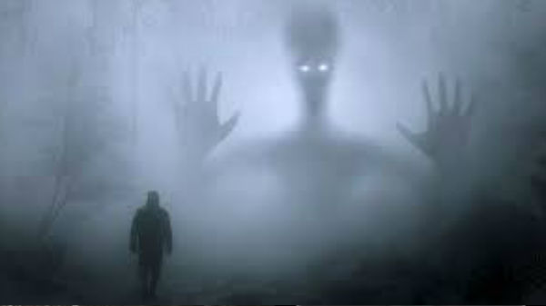 இதன் உயரம் எவ்வளவு தெரியுமா?