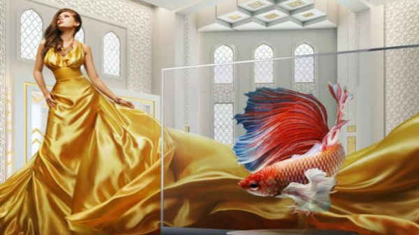 என்று சியோமி 