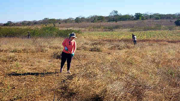 விவசாயிகள் 