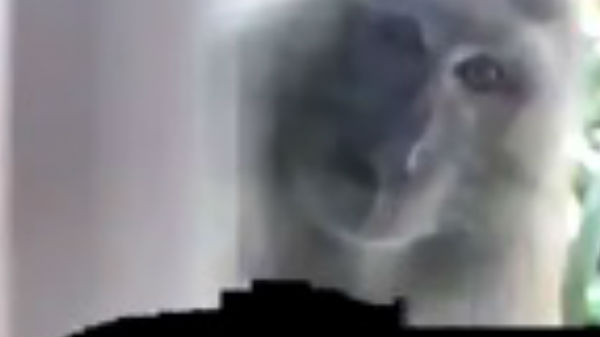 புகைப்படத்தை பார்த்தப்போது அதிர்ச்சி