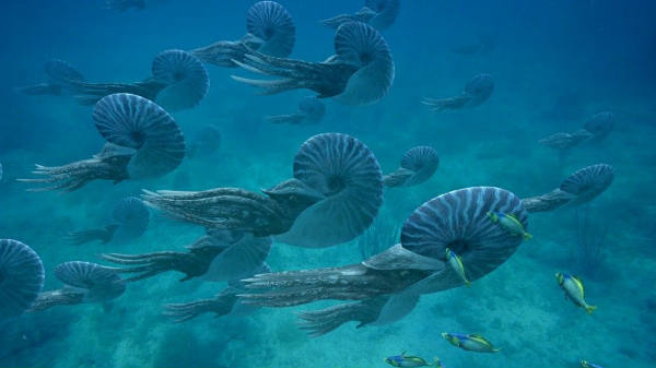 ஒரு காலத்தில் கடற்பரப்பாக இருந்த பகுதி 