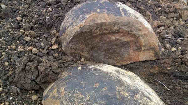 பெரம்பலூர் ஜுராசிக் பார்க் கதைக்கு The End