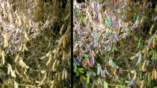 தரவுகள் திருட்டுப்போகாமல் இருப்பதில் கவனம் தேவை