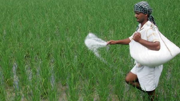 அடுத்தடுத்த கட்டத்தை நோக்கி விவசாய முன்னேற்றம்