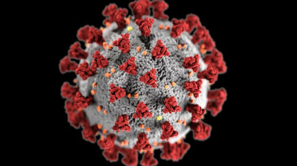 28நாட்கள் கூட நீடித்திருக்கும்