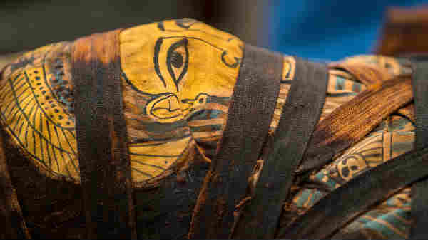 மம்மிகளின் மேல் ஹைரோகிளிஃபிக் (hieroglyphic) எழுத்துக்கள்