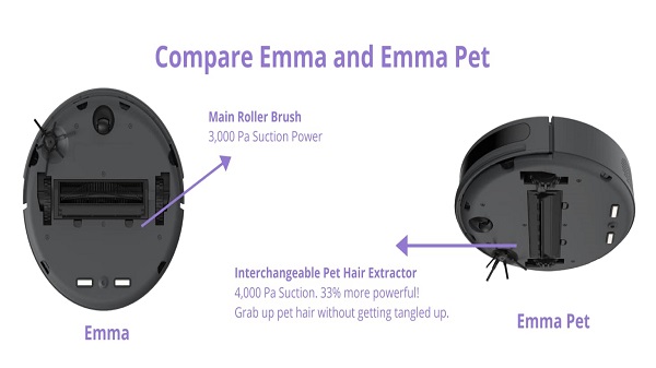 எம்மா ஸ்டாண்டர்ட், எம்மா பெட்: விலை