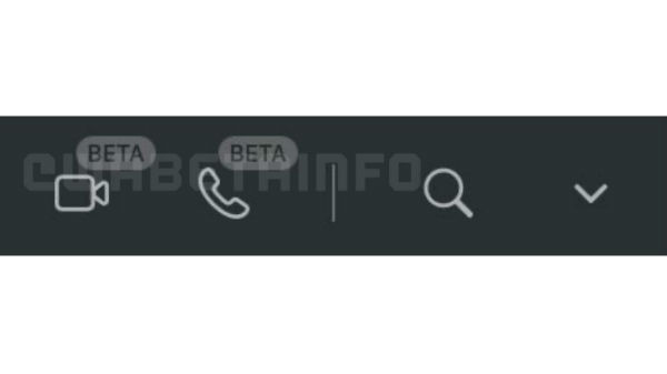 குரூப் வாய்ஸ் காலிங் மற்றும் வீடியோ காலிங் அம்சம் 