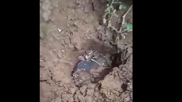 பின்பு கடந்த ஆகஸ்ட் மாதம் 