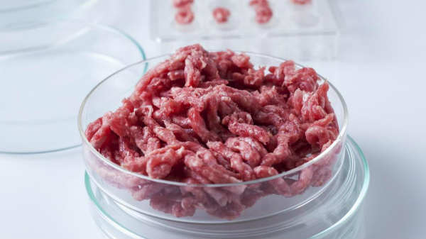 இது மனிதர்களுக்கு நல்லது தானா? 