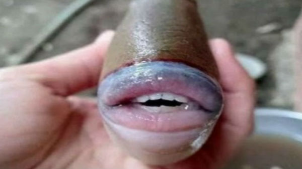 கடலில் உள்ள மர்மங்கள்