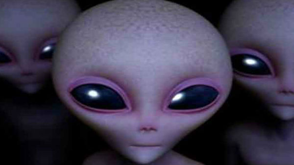 டிரம்பிடம் இருந்து எந்த பதிலும் வரவில்லை 