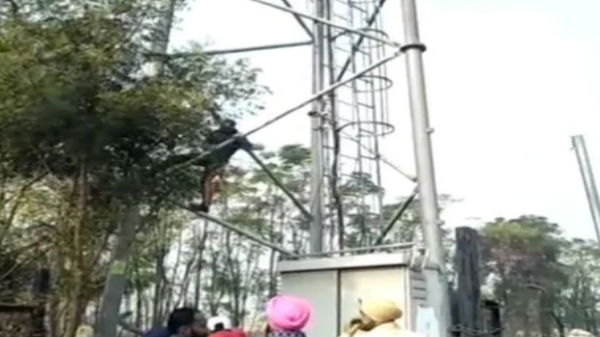 சொந்தமான சொத்துகள், 