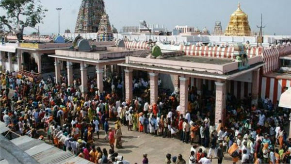 பழனியில் குவியும் பக்தர்கள்