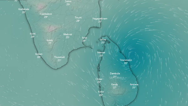 கொட்டித்தீர்க்கும் மழை