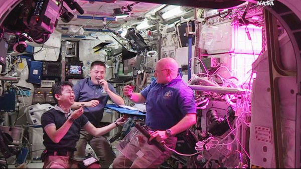 அறுவடைக்குத் தயார் 