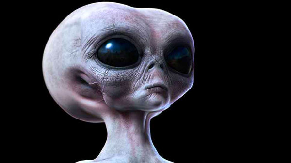 உண்மை என்ன? தொடரும் புதிர்.. 